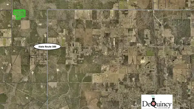 40 Acres in Beauregard Parish near DeQuincy thumbnail 2