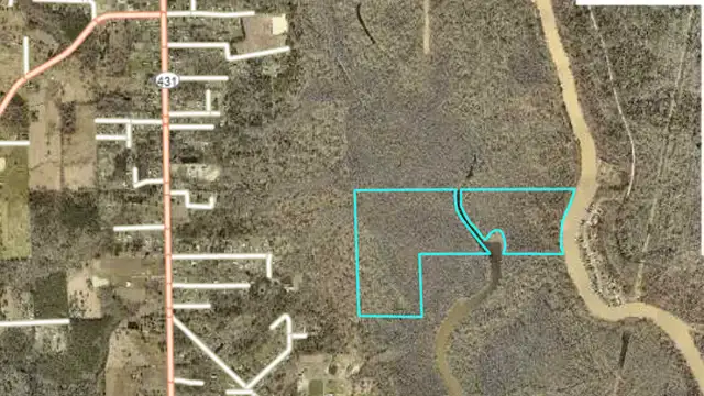 157 acre recreational / river property in Saint Amant, LA thumbnail 2