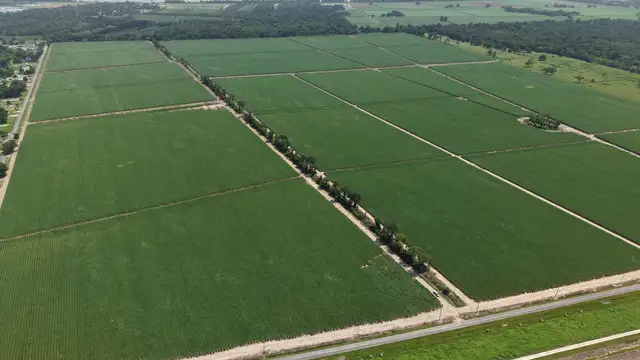 +/-860-Acre Deep-Water Industrial Development Site on the Mississippi River thumbnail 3