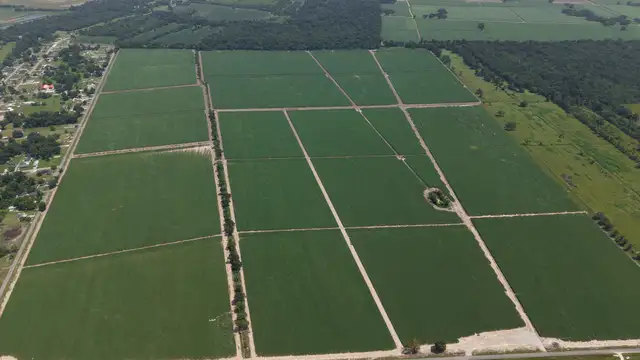 +/-860-Acre Deep-Water Industrial Development Site on the Mississippi River thumbnail 2