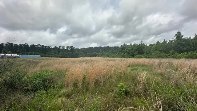 View image 25