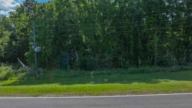 View image 11