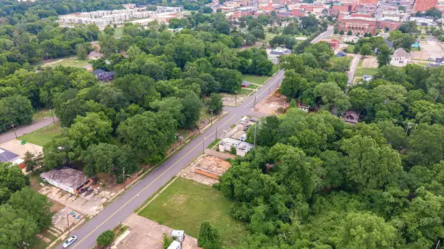 1319 Milam St thumbnail 2