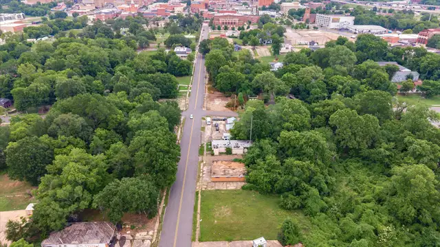 1319 Milam St thumbnail 3