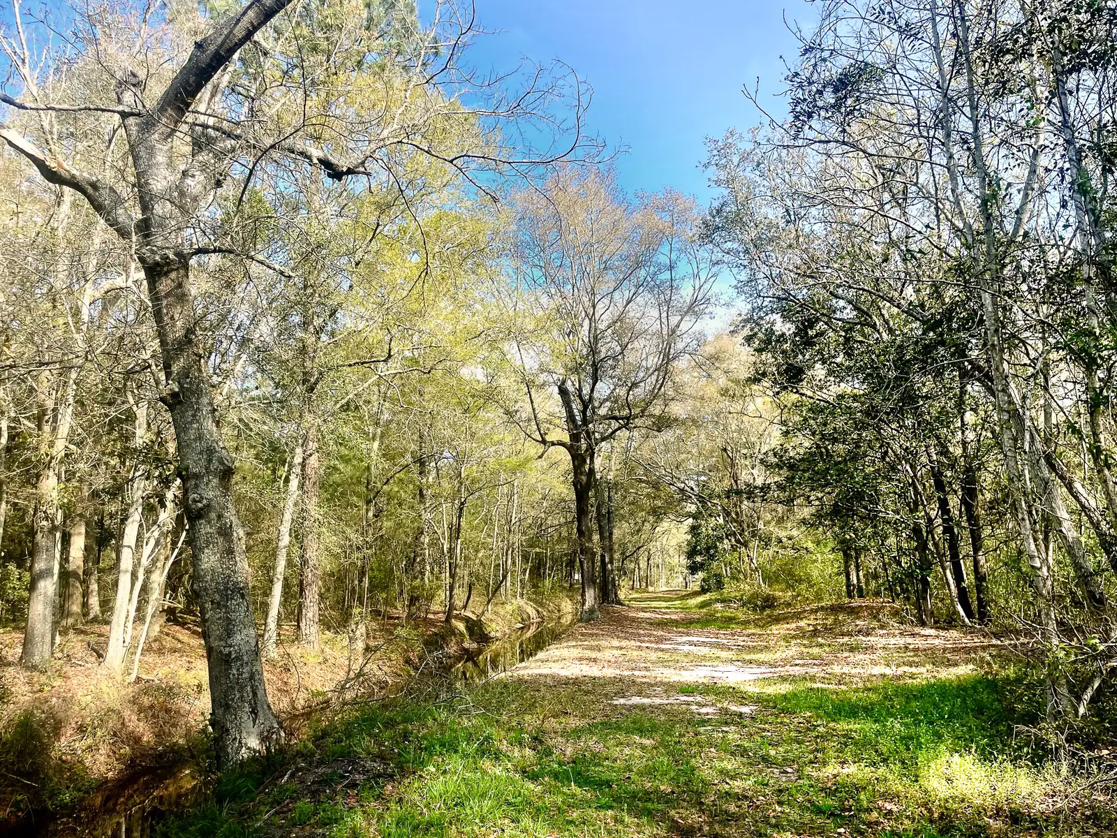 PASCAGOULA EXCEPTIONAL DEVELOPMENT SITE image 4