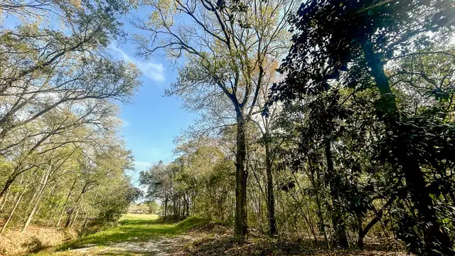 View image 6