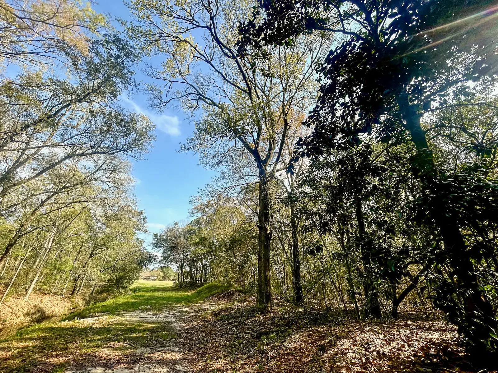 PASCAGOULA EXCEPTIONAL DEVELOPMENT SITE image 6