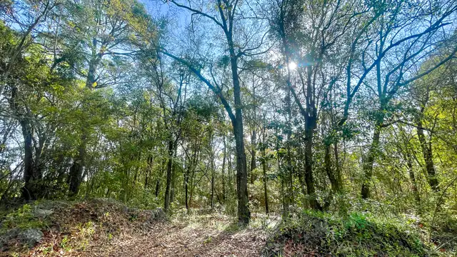 View image 7