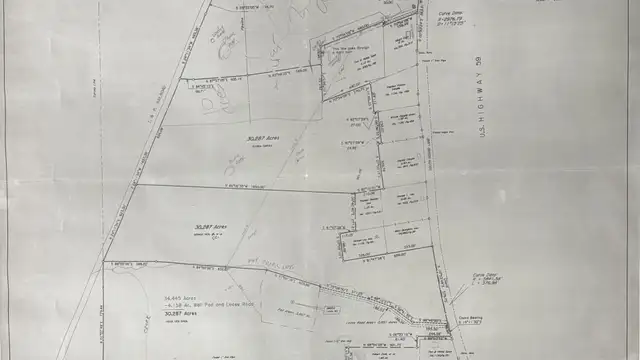 43 Commercial Acres in Woodlawn, TX thumbnail 5