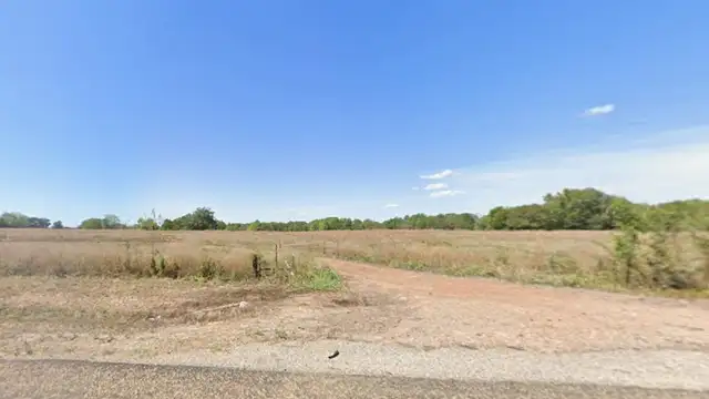 43 Commercial Acres in Woodlawn, TX thumbnail 2