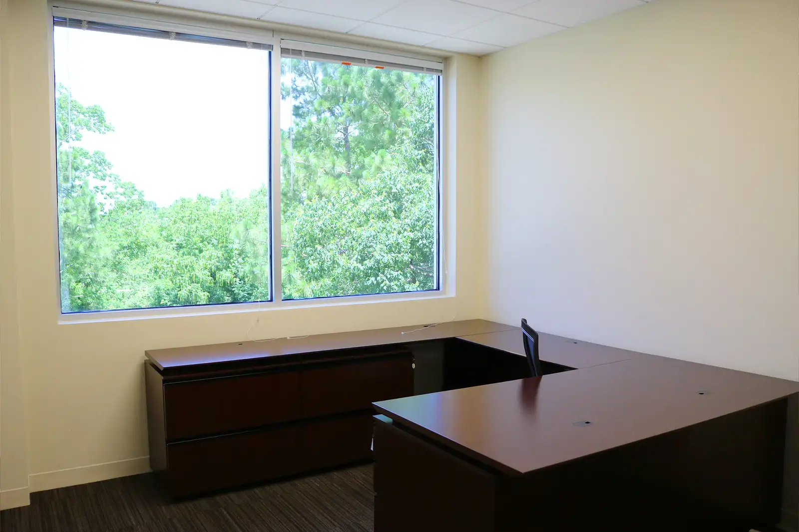 Suite 204 - Harborview Office Suite on Oak Harbor