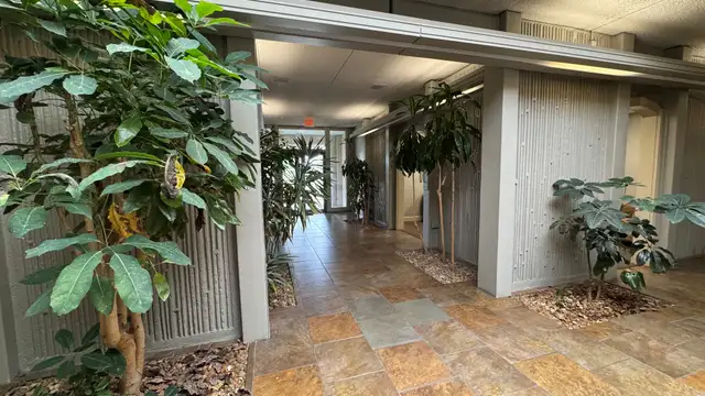 10201 Celtic Dr thumbnail 5