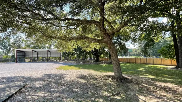 View image 6