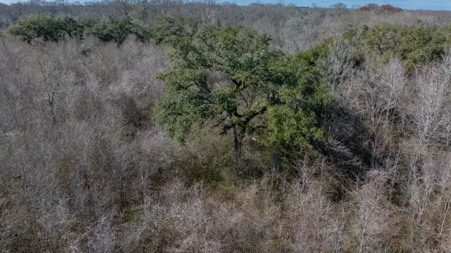 Versatile Acreage - 600 Blk Lajaunie Rd thumbnail 5