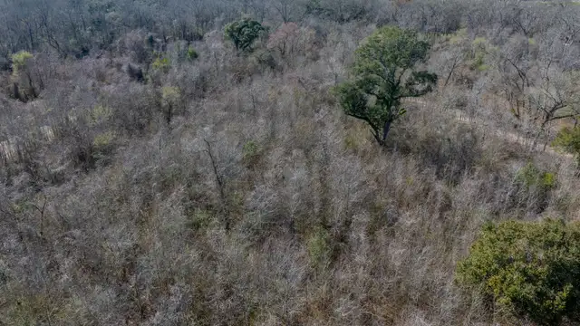 Versatile Acreage - 600 Blk Lajaunie Rd thumbnail 4