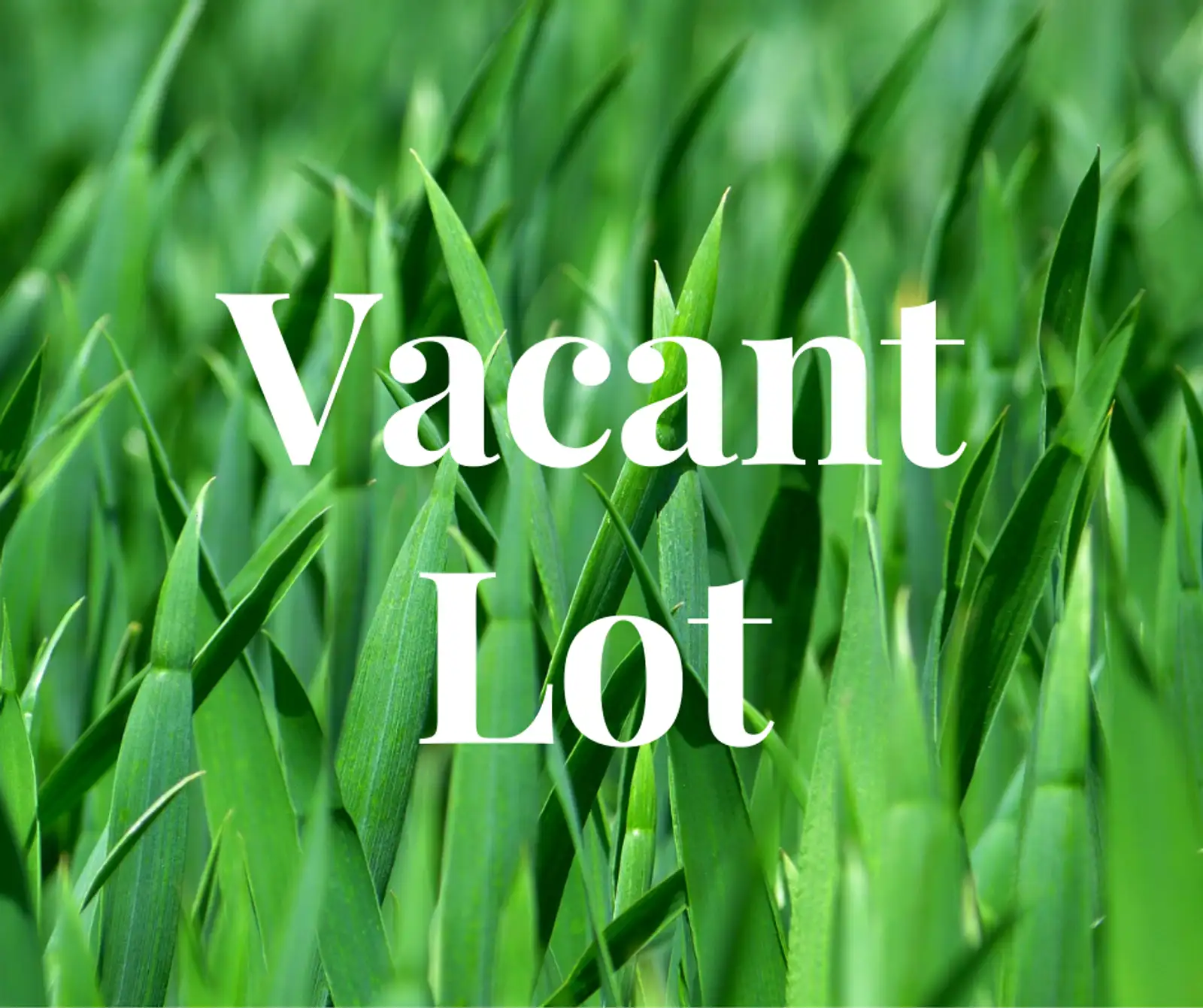 3.62 ACRES Florida Blvd image 1