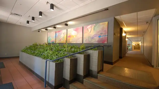 One Texas Centre Downtown Shreveport thumbnail 4