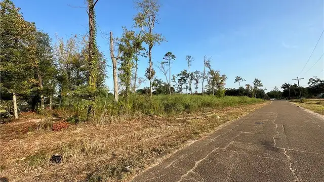 TBD E Burton St thumbnail 3