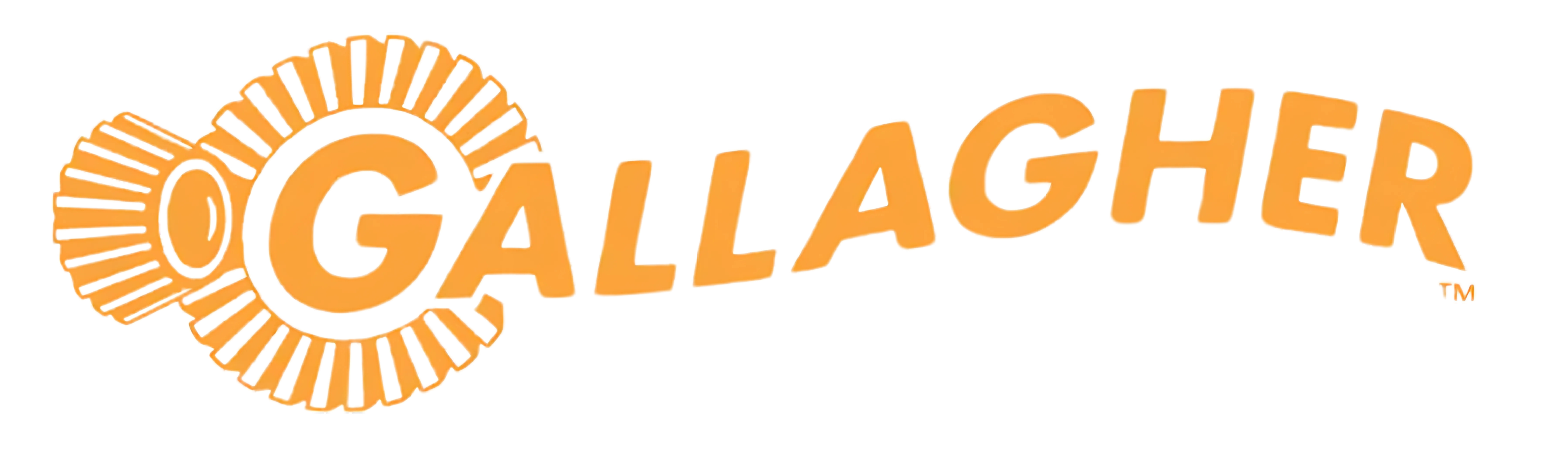 Gallagher Resonance Marketing client