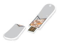 ACP-EP Forum SnowDrive Recon 1GB USB Flash Drive