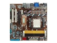 ASUS M3N78-VM GREEN micro ATX - GeForce 8200 Motherboard