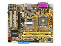 ASUS P5GZ-MX GREEN micro ATX - i945GZ Motherboard