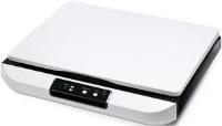 Avision FB5000 Flatbed Scanner