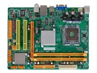 BIOSTAR G31-M7 TE Motherboard