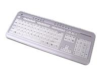 BTC 6300CL Ultra-slim Keyboard