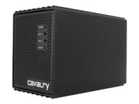 Cavalry Storage CAND3002T0 DT 2TB Network Attached Storage