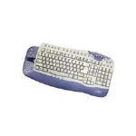 Digital Innovations Web Access Pro Keyboard