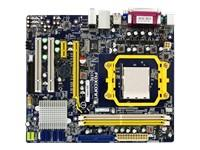 Foxconn M61PMV Motherboard