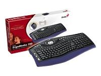 Genius ErgoMedia 700 keyboard