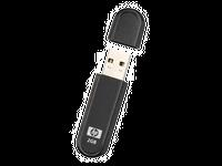 HP 4GB USB 2.0 USB Flash Drive