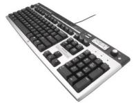 HP Multimedia PS/2 Keyboard