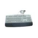 HP USB Internet keyboard