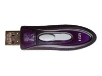 Kingston Technology DT110P/1GB DataTraveler 101 1GB Purple USB Flash Drive