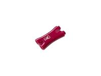 Kingston Technology DTMFR/4GB DataTraveler Mini Fun 4GB Red USB Flash Drive