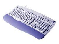 Logitech Internet W95 104Key Keyboard