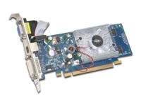 PNY 8400 GS 2.0 256MB PCIe Low Profile Graphics Card