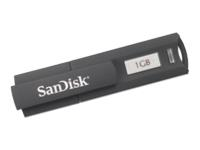 SanDisk Cruzer Enterprise 1GB USB flash drive