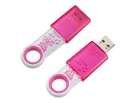 SanDisk Cruzer Fleur 2GB USB Flash Drive