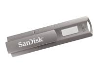 SanDisk Cruzer Professional 2GB USB Flash Drive