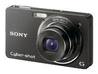 Sony CyberShot DSC-WX1 10.2MP Digital Camera