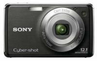 Sony DSC-W220 12.1MP Digital Camera