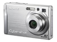 Sony DSC-W90 8.1MP Digital Camera