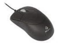 Targus AMU36CAZ Optical Notebook Mice