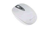 Toshiba Nano Wireless Mice