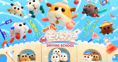 PUI PUI モルカー DRIVING SCHOOL