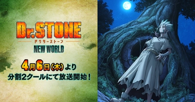 Dr.STONE NEW WORLD